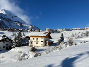 Haus Plattenkar Obertauern